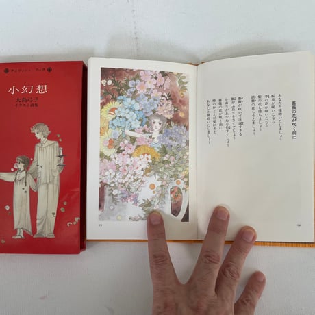 小幻想　大島弓子イラスト詩集
