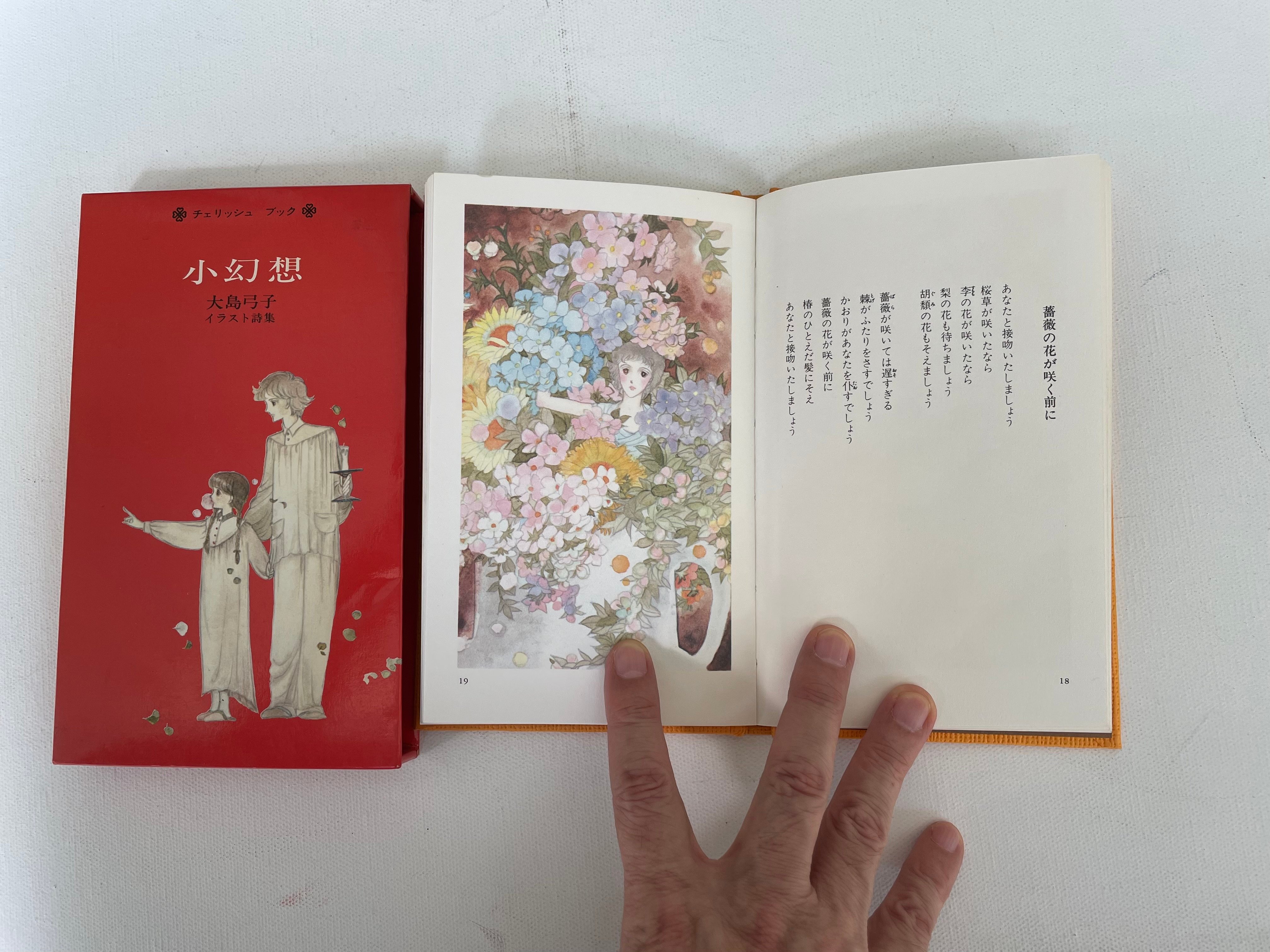 小幻想　大島弓子イラスト詩集　大島弓子 original