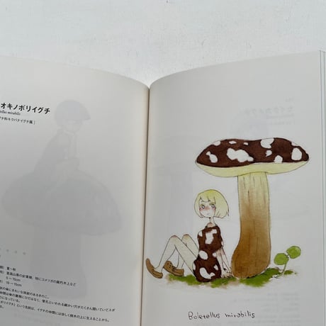 少女系きのこ図鑑