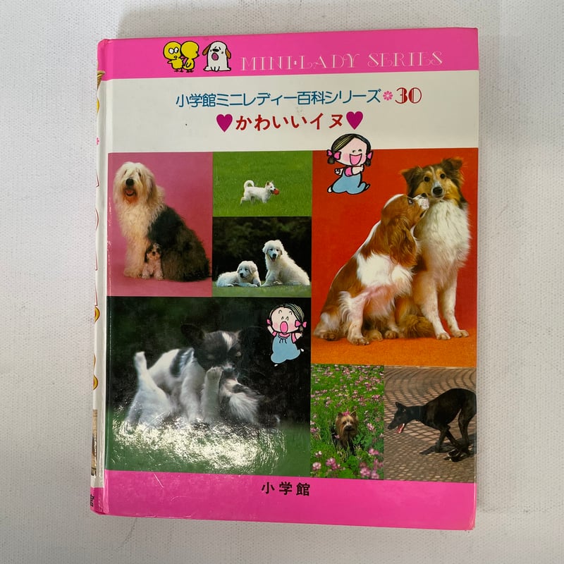 かわいいイヌ | 古書まどそら堂