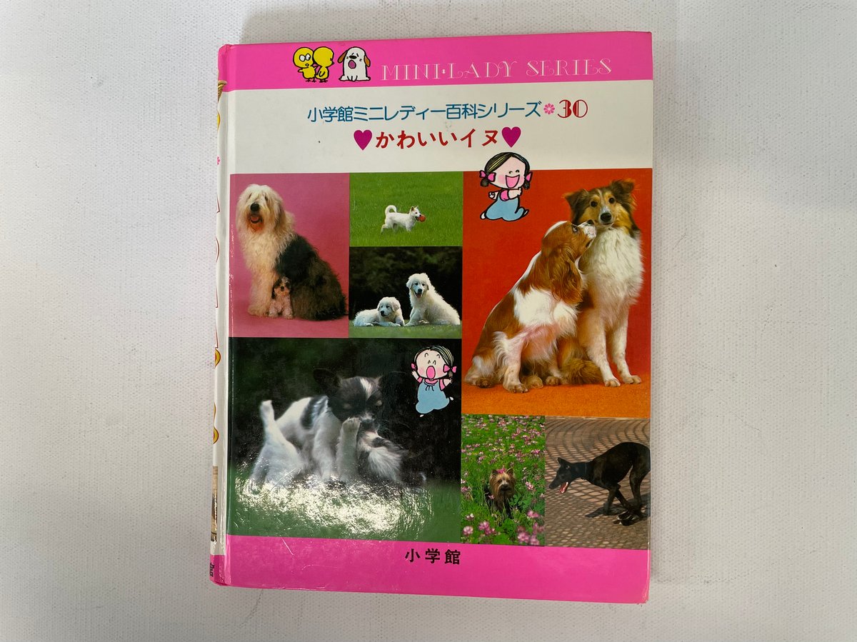 かわいいイヌ | 古書まどそら堂