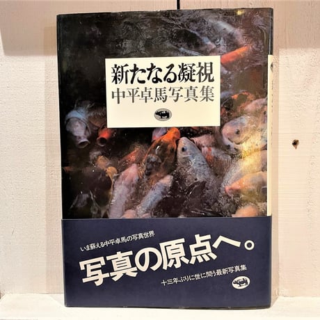 新たなる凝視　中平卓馬写真集