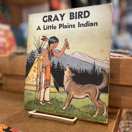GRAY BIRD A Little Plains Indian
