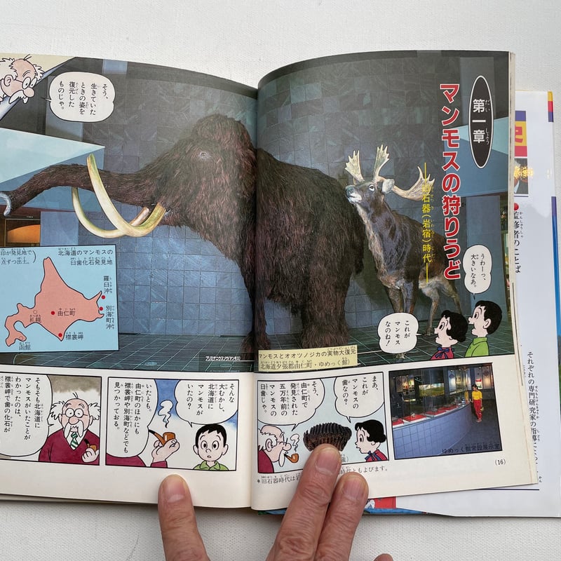 日本の歴史　学習まんが　小学館全22巻 小学館版学習まんが 少年少女 日本の歴史 | 古書まどそら堂