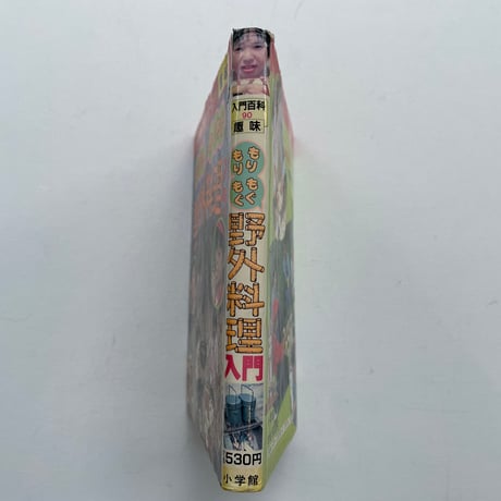 もりもりもぐもぐ　野外料理入門