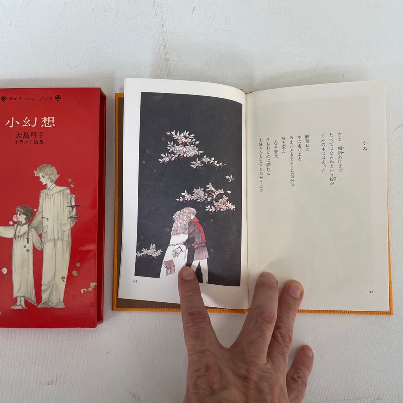小幻想　大島弓子イラスト詩集　大島弓子 小幻想 大島弓子イラスト詩集 【チェリッシュブック】(大島弓子