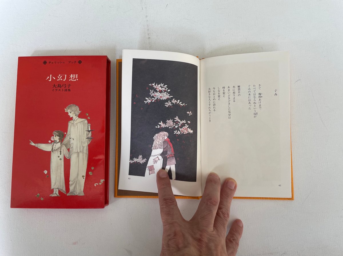 小幻想 大島弓子イラスト詩集 | 古書まどそら堂