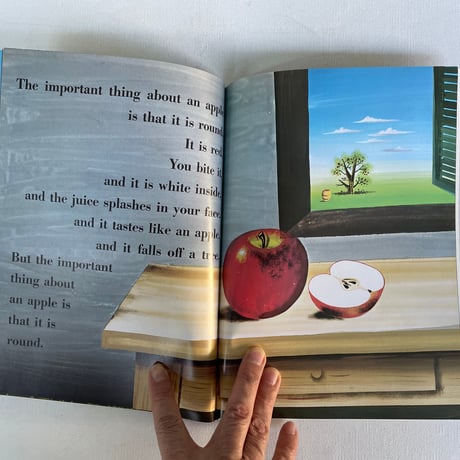 THE INPORTANT BOOK