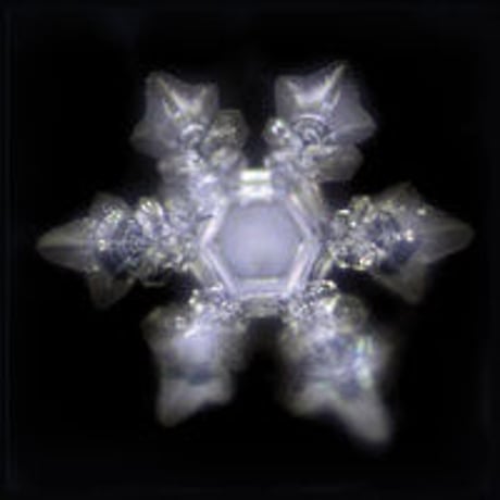 魔法のウォーターサーバー