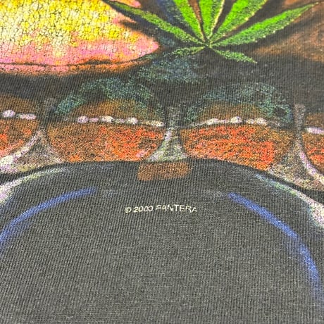 Pantera T-shirt【L】00563