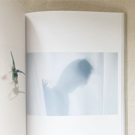 川内倫子｜as it is