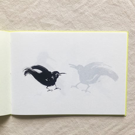 松岡正剛｜Birds