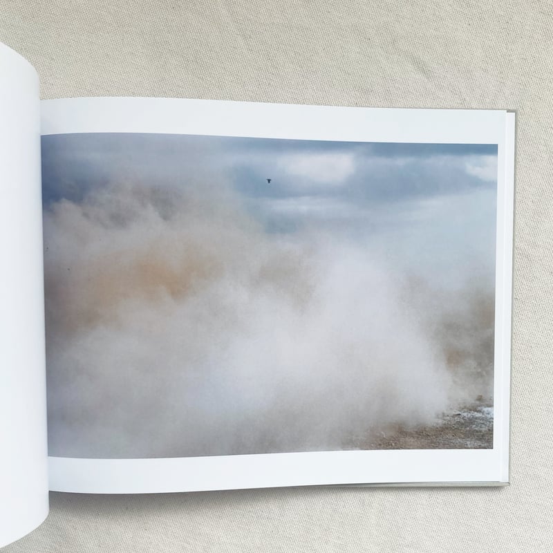 畠山直哉｜A BIRD BLAST #130 | 曲線