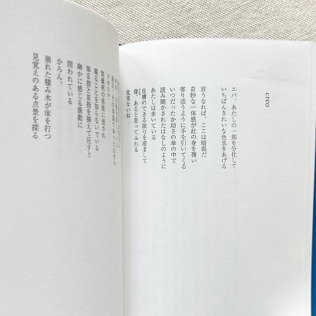 成清朔｜彼方の幽霊