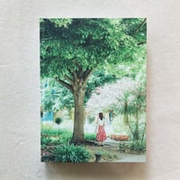 fujico｜Translucent & Roses／半透明と薔薇