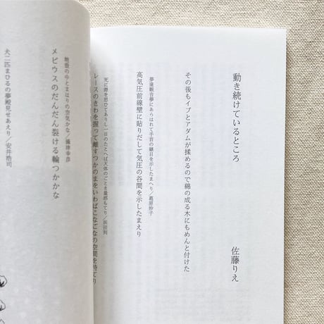 九重 4