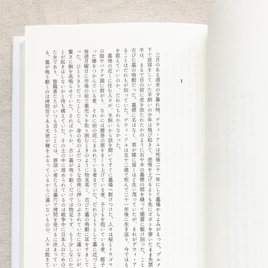 67b178852688ed166d51cd22