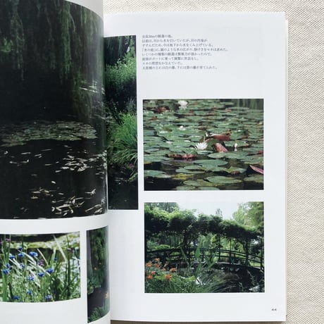 林綾野｜モネ　庭とレシピ