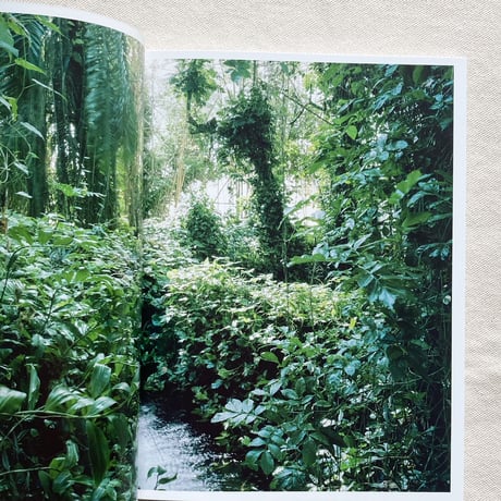 高田洋三｜NATURE GUIDE