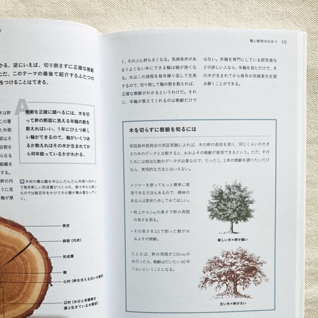 ガイ・バーター｜植物のふしぎ