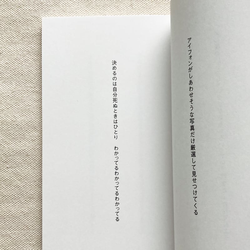 【中古】 土佐一条物語 戦国史談/飛鳥出版室/吉良川文張 脇川飛鳥｜ラストイヤー | 曲線