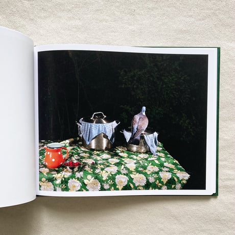 Lia Darjes｜PLATES I-XXXI