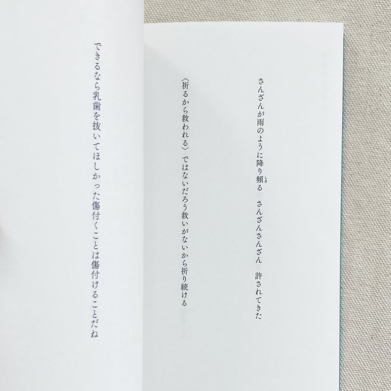 中村森｜太陽帆船 | 曲線