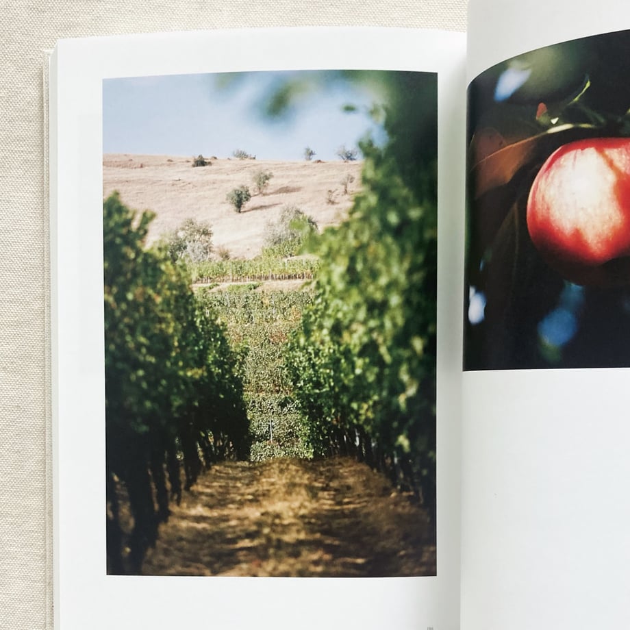 6a2be7925b1e9156791c866a
