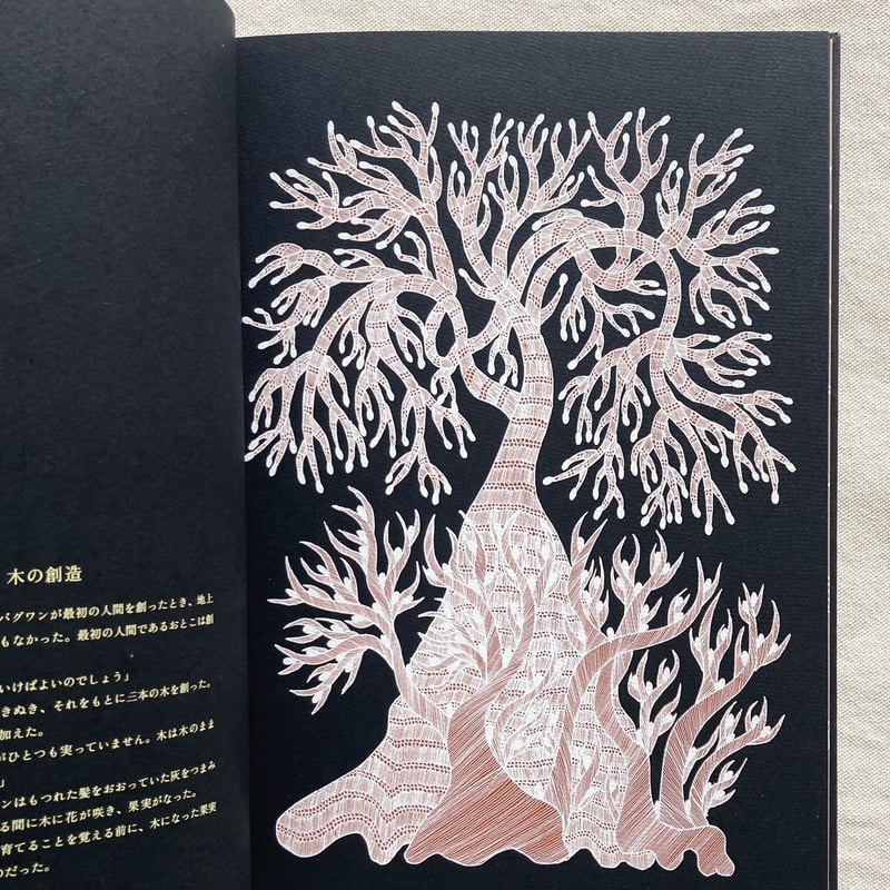 夜の木（第13刷） | 曲線