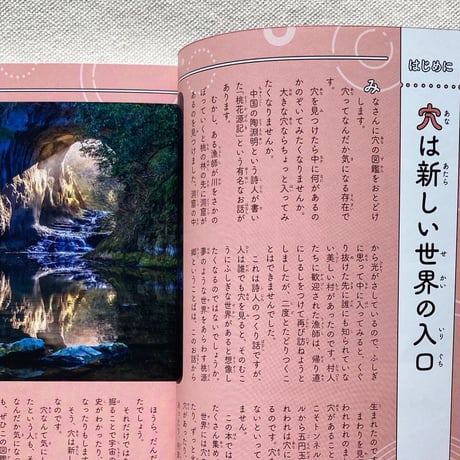 宮田珠己｜のぞく図鑑　穴