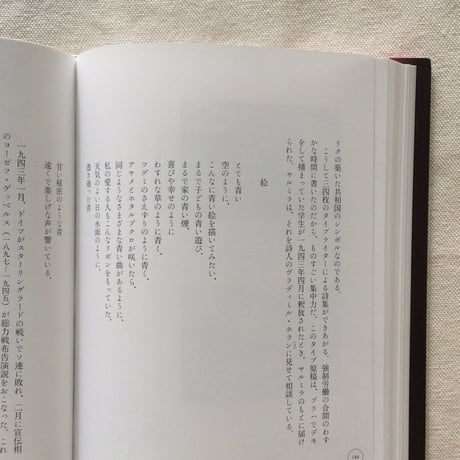 ヨゼフ・チャペック｜独裁者のブーツ