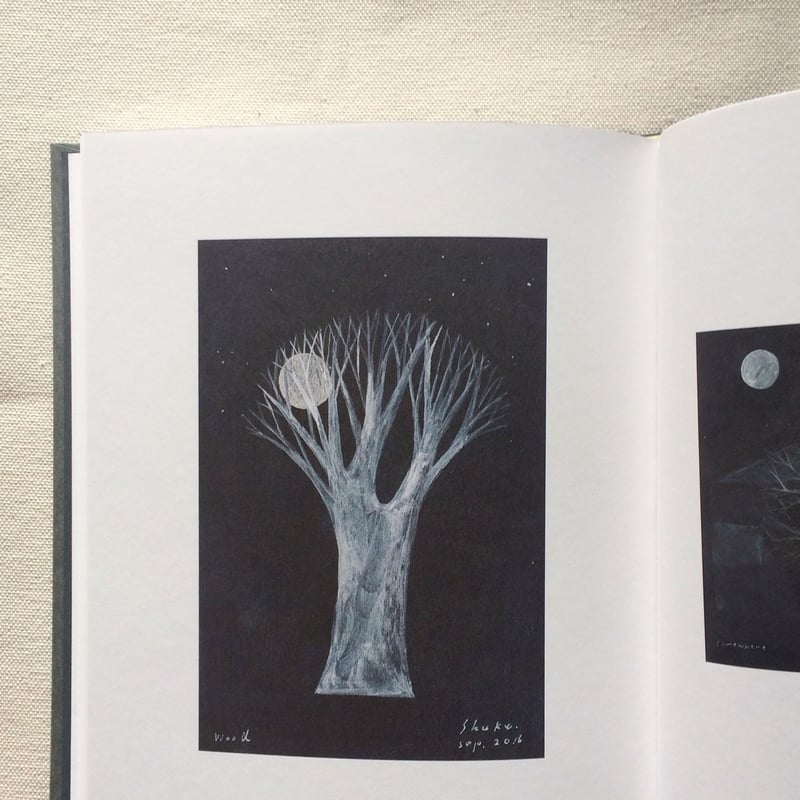 西淑 作品集 | 曲線