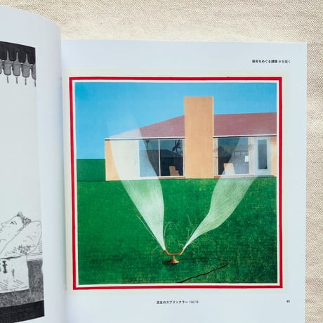 Hockney's Pictures