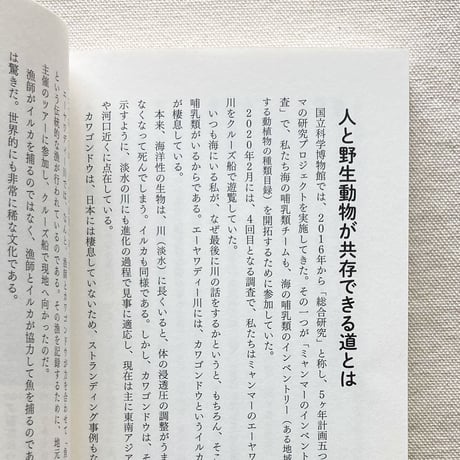 田島木綿子｜海獣学者、クジラを解剖する。