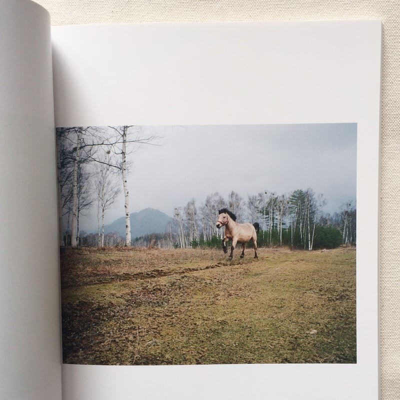 シャルロット・デュマ｜Stay | 曲線