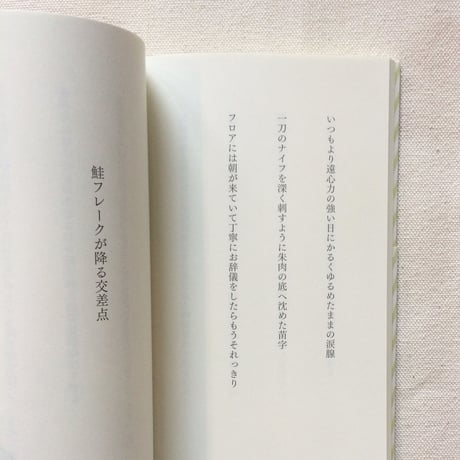 笹井宏之｜ひとさらい