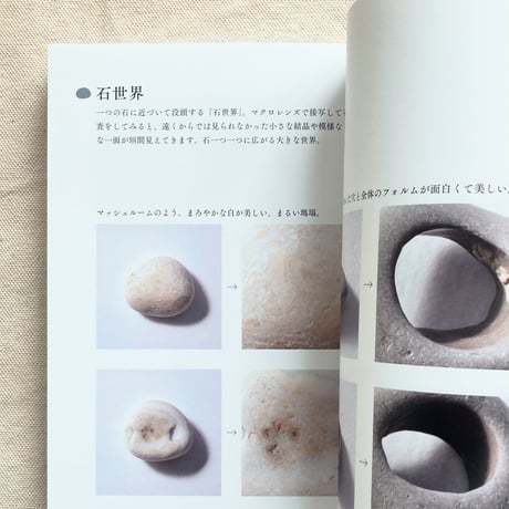 石の人｜海辺の石 〜小図鑑・見立て・石並べ〜