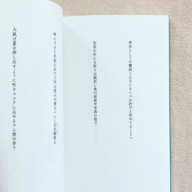 中村森｜太陽帆船 | 曲線