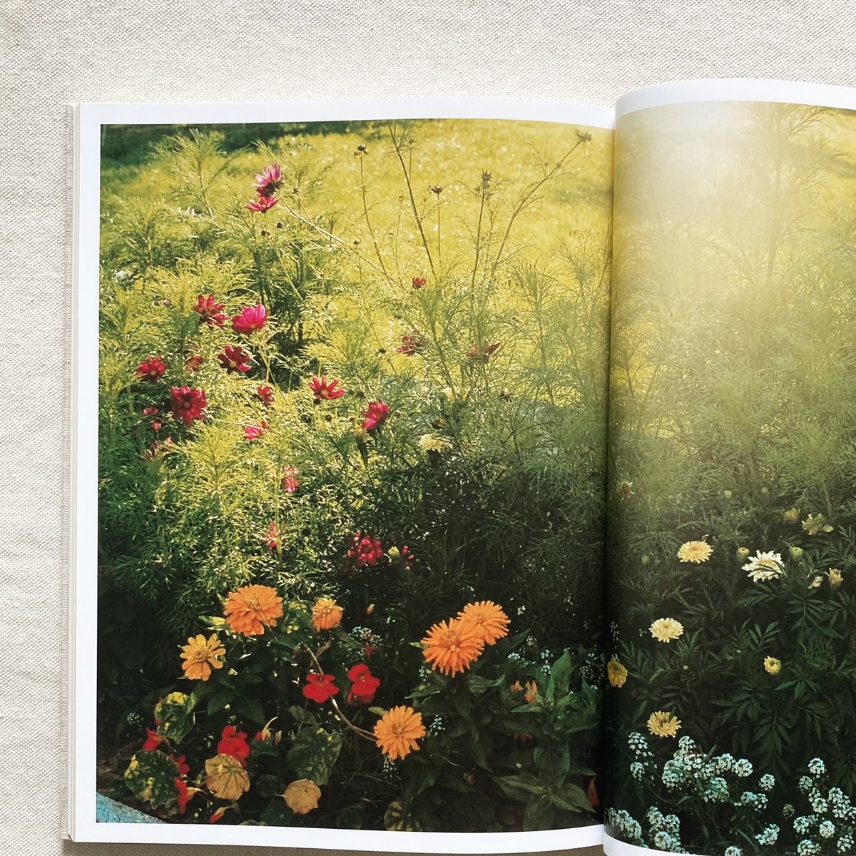 長島 有里枝 swiss 赤々舎（未開封品） 長島 有里枝 swiss 赤々舎（未開封品）