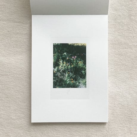 Sean Lotman・Tennbo Lotman｜Puking Rainbows Past and Future