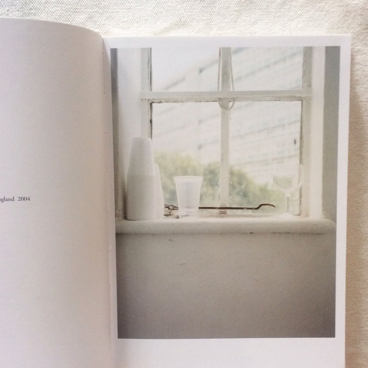 一之瀬ちひろ Chihiro Ichinose | STILL LIFE | 翠ブックス