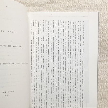 CARL ANDRE｜Between Sculpture and Poetry