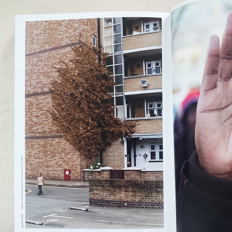 Wolfgang Tillmans four books 写真集　裁断無し WOLFGANG TILLMANS FOUR BOOKS [45TH EDITION] | 曲線