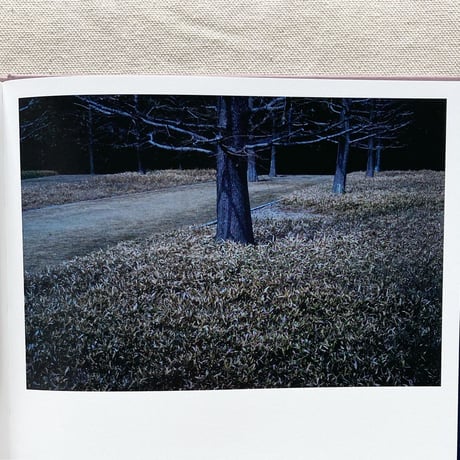 幸本紗奈｜other mementos