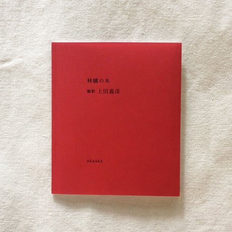 上田義彦｜林檎の木