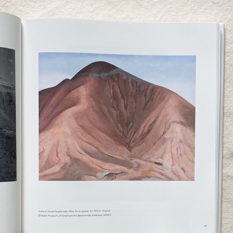 Georgia O'Keeffe｜GEORGIA O'KEEFFE, PHOTOGRAPHER