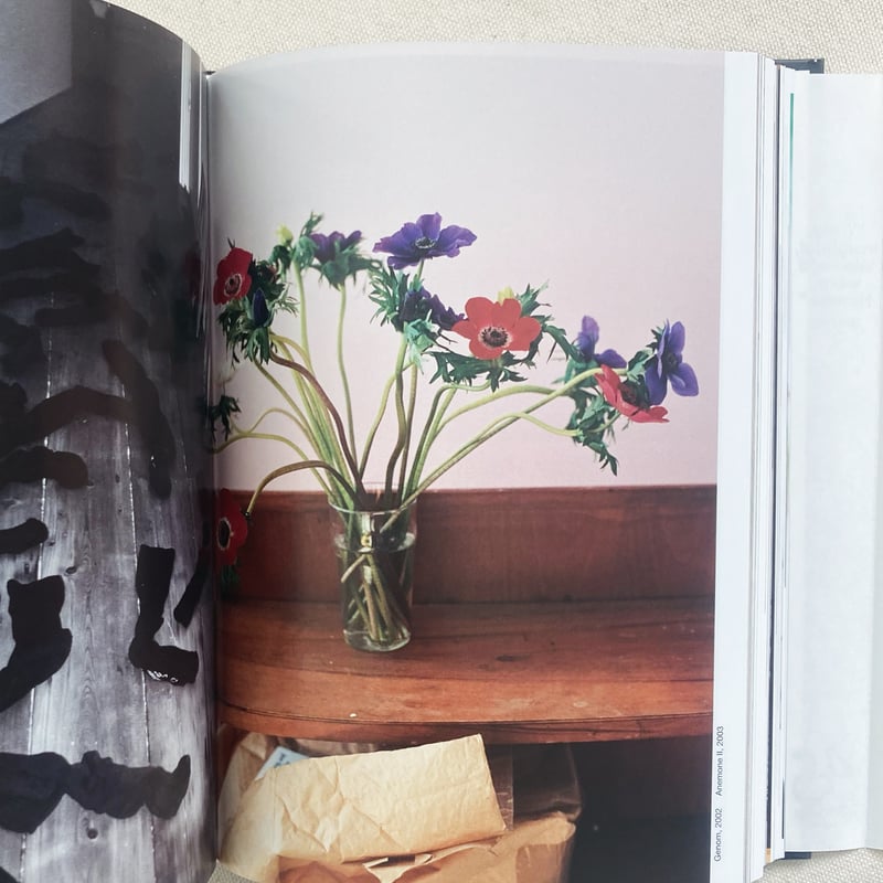 WOLFGANG TILLMANS FOUR BOOKS [45TH EDITION] | 曲線