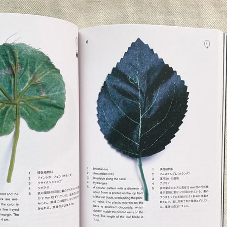 本多紗映｜Anthropophyta 人工植物門