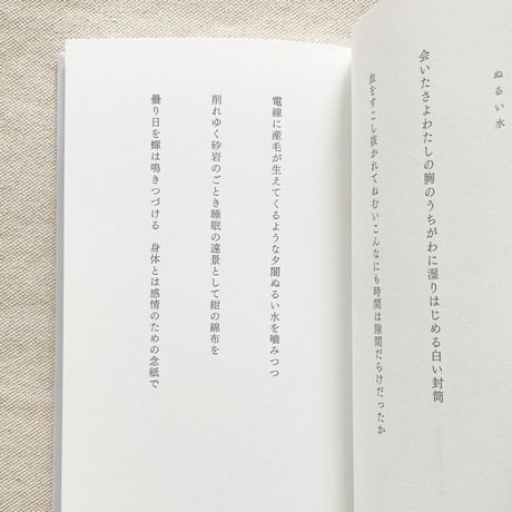田村穂隆｜霧に貌