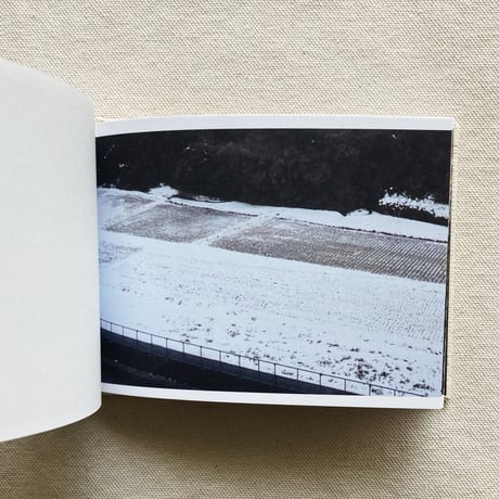 SCREENSHOTS FROM A SERIES OF VIDEOS ABOUT A RICE FIELD AND ITS SURROUNDINGS
